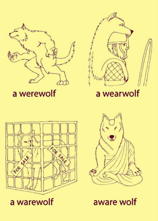 werewolf aware wolf - a werewolf a wearwolf For Sale a warewolf aware wolf
