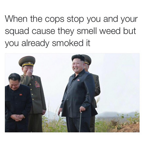 kim jong un cane - When the cops stop you and your squad cause they smell weed but you already smoked it