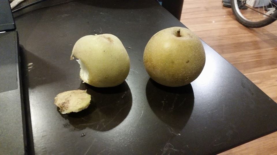 Apple or potato...