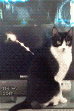 random cat video game gif - 4 GIFs .com