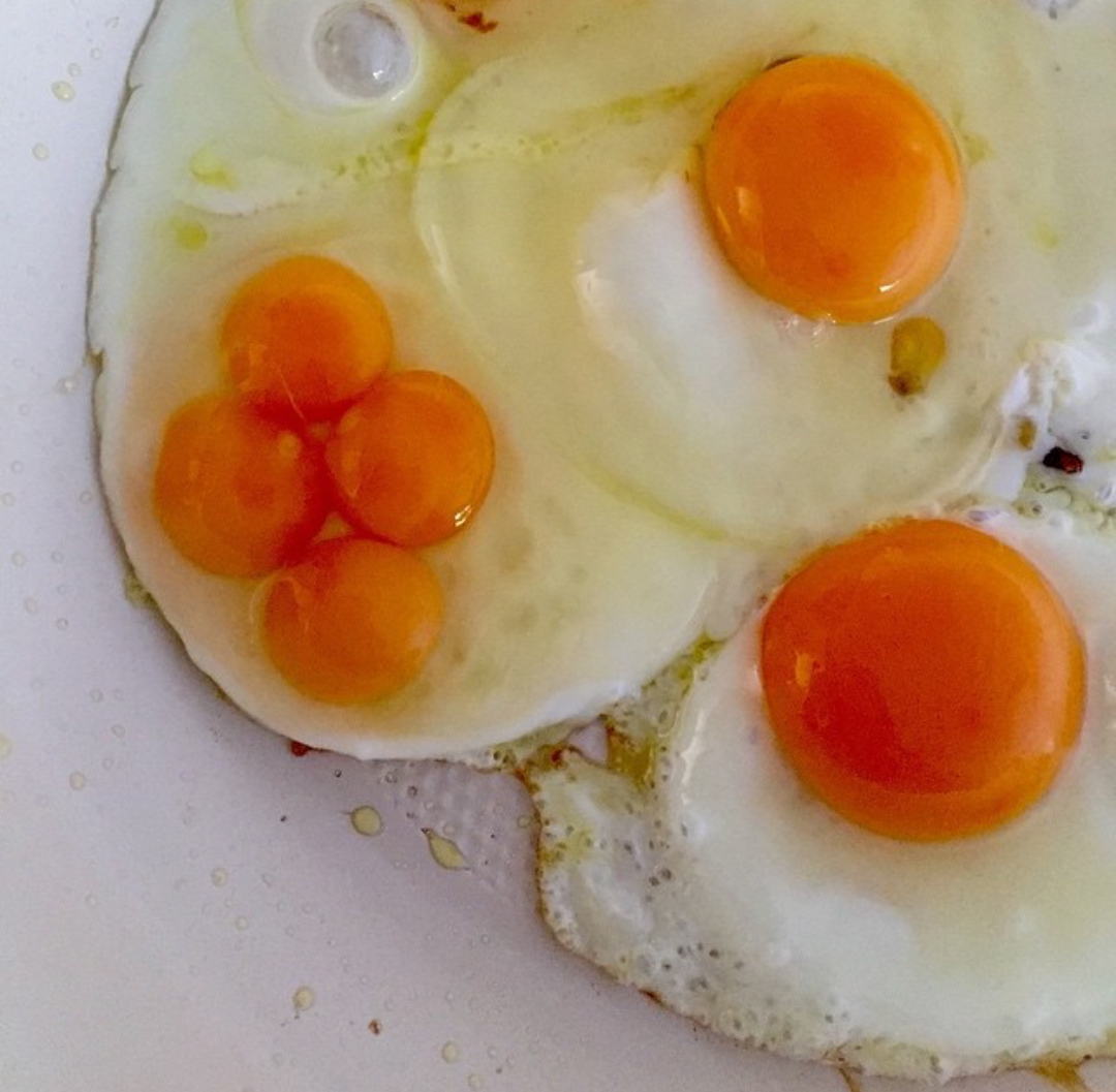 egg with four yolks
