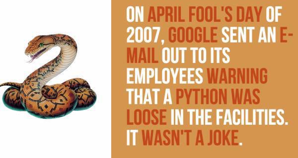 oldham county - On April Fool'S Day Of 2007, Google Sent An E Mail Out To Its Employees Warning That A Python Was Loose In The Facilities. It Wasn'T A Joke.