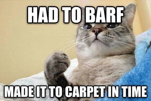 had to barf made it to carpet - Had To Barf Made It To Carpet In Time