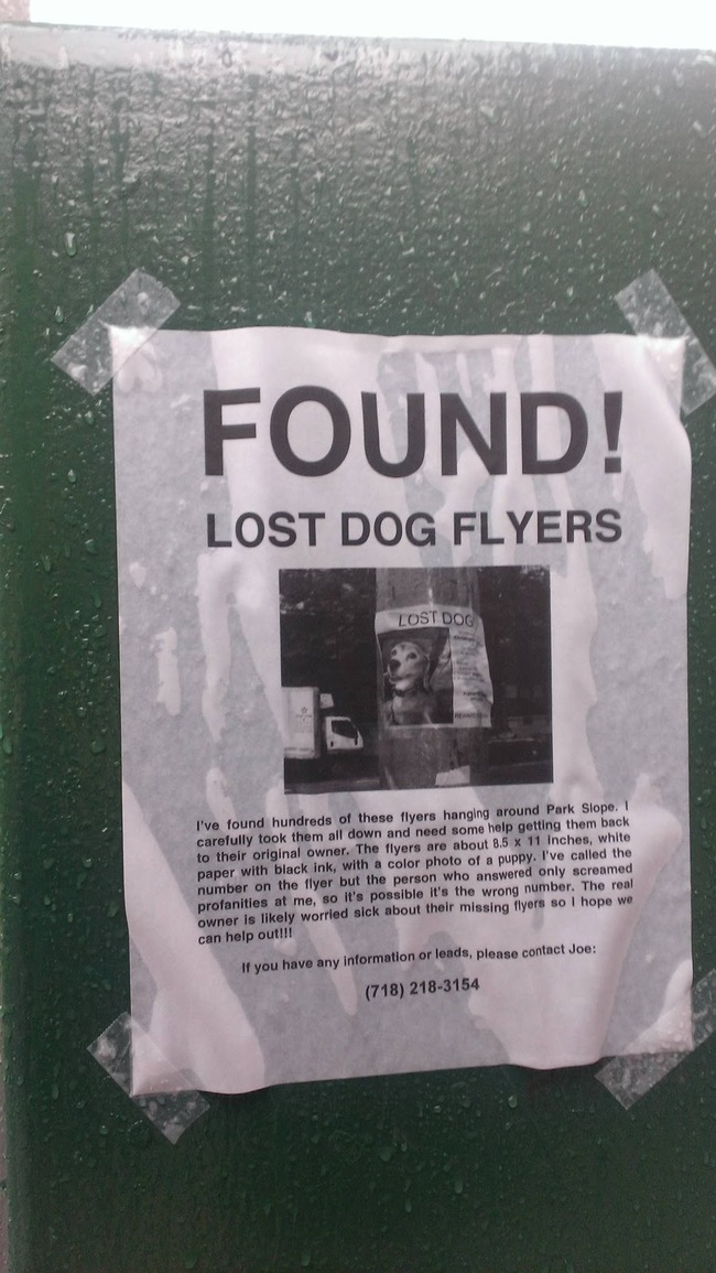 funny lost and found signs - Found! Lost Dog Flyers Cost Dog I've found hundreds of these flyers hanging around Park Slope. I carefully took them all down and need some help getting them back to their original owner. The flyers are about 8.5 x 11 inches, 