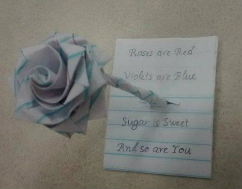 rose family - Roses are Red Violets are Blue Sugor is Sweet And so are you
