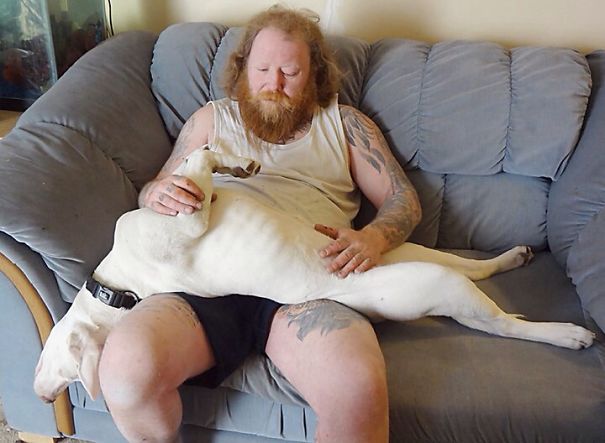 25 Bellies That Demand To Be Petted