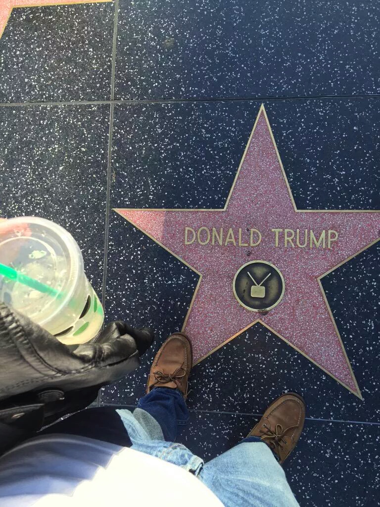donald trump i stepped in shit - Donald Trump