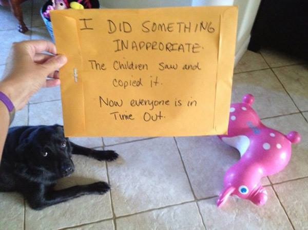 funny dog shaming - I Did Something In Approriate The Children saw and copied it. Now everyone is in Time out.