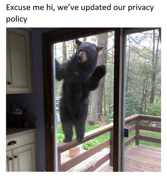 anyone home - Excuse me hi, we've updated our privacy policy