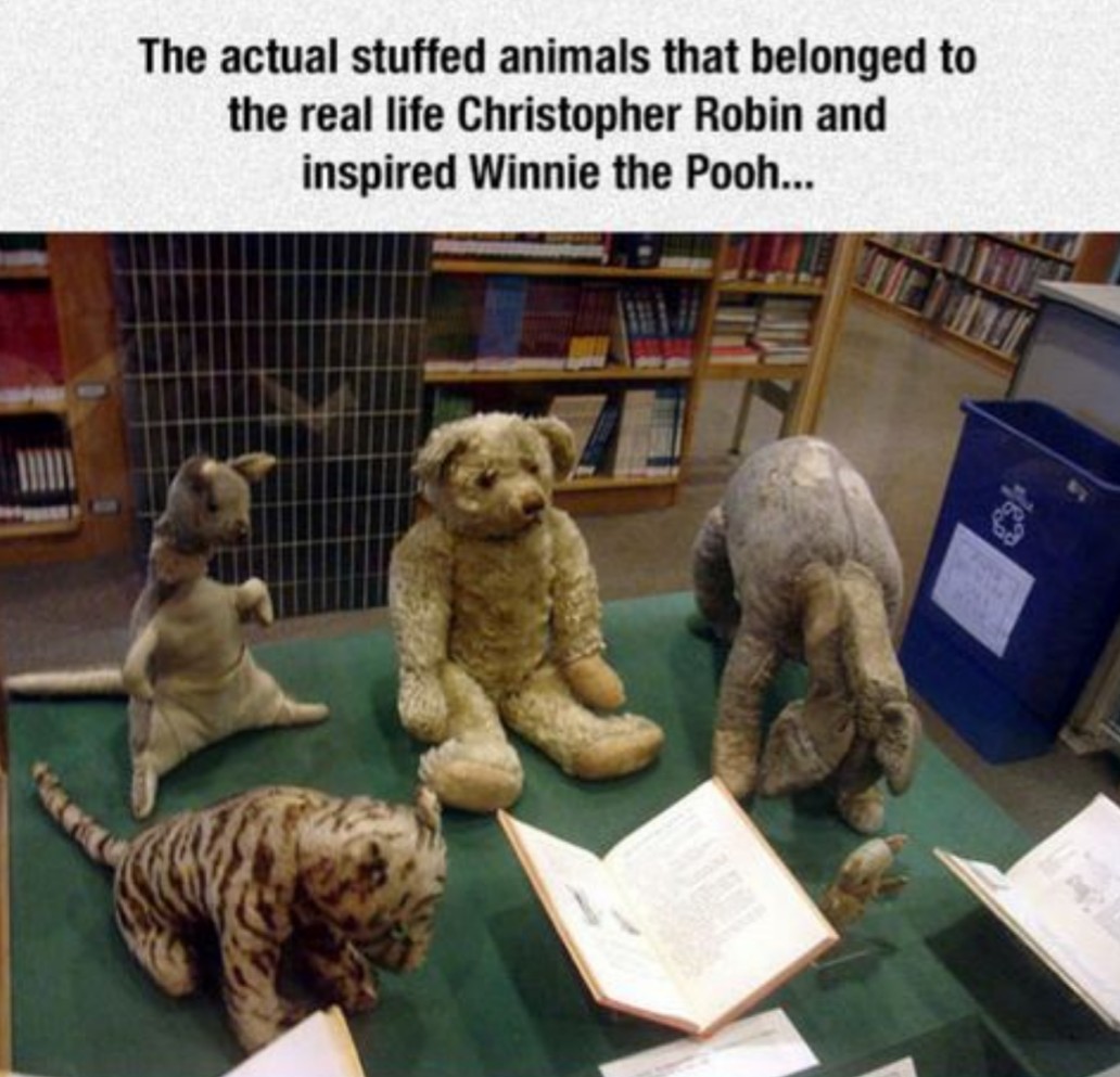 winnie the pooh name origin - The actual stuffed animals that belonged to the real life Christopher Robin and inspired Winnie the Pooh...