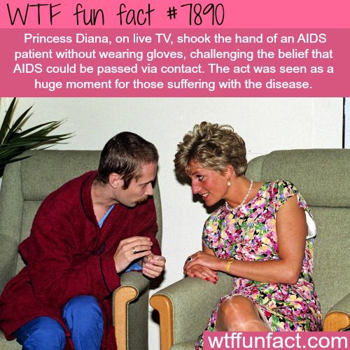 princess diana with aids victims - Wtf fun fact Princess Diana, on live Tv, shook the hand of an Aids patient without wearing gloves, challenging the belief that Aids could be passed via contact. The act was seen as a huge moment for those suffering with 