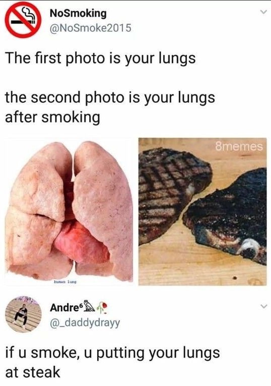 smoker lungs meme - NoSmoking 2015 The first photo is your lungs the second photo is your lungs after smoking 8memes haug Andres if u smoke, u putting your lungs at steak
