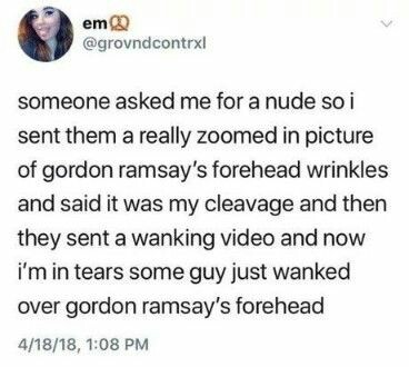 em someone asked me for a nude so i sent them a really zoomed in picture of gordon ramsay's forehead wrinkles and said it was my cleavage and then they sent a wanking video and now i'm in tears some guy just wanked over gordon ramsay's forehead 41818,