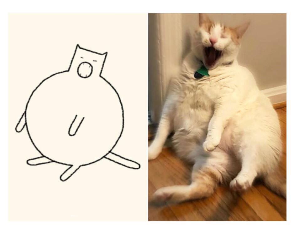 funny cat drawings - ne