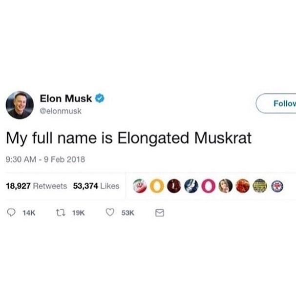 my full name is elongated muskrat - Elon Musk Welonmusk Elon Musk My full name is Elongated Muskrat 18,927 53,374 0 0000 14 t7 19 53K