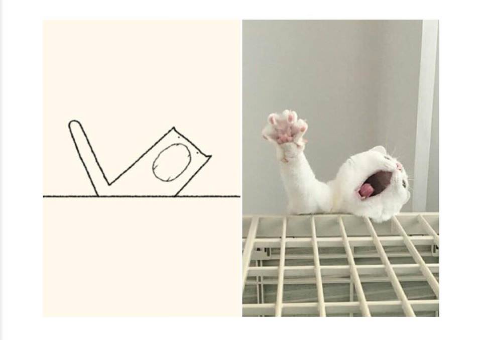 funny drawing cats