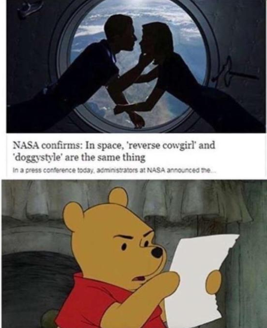 funny meme about NASA doing research about how sex in space is the same reverse cowgirl and doggy style and Winnie The Pooh reading the paper up close