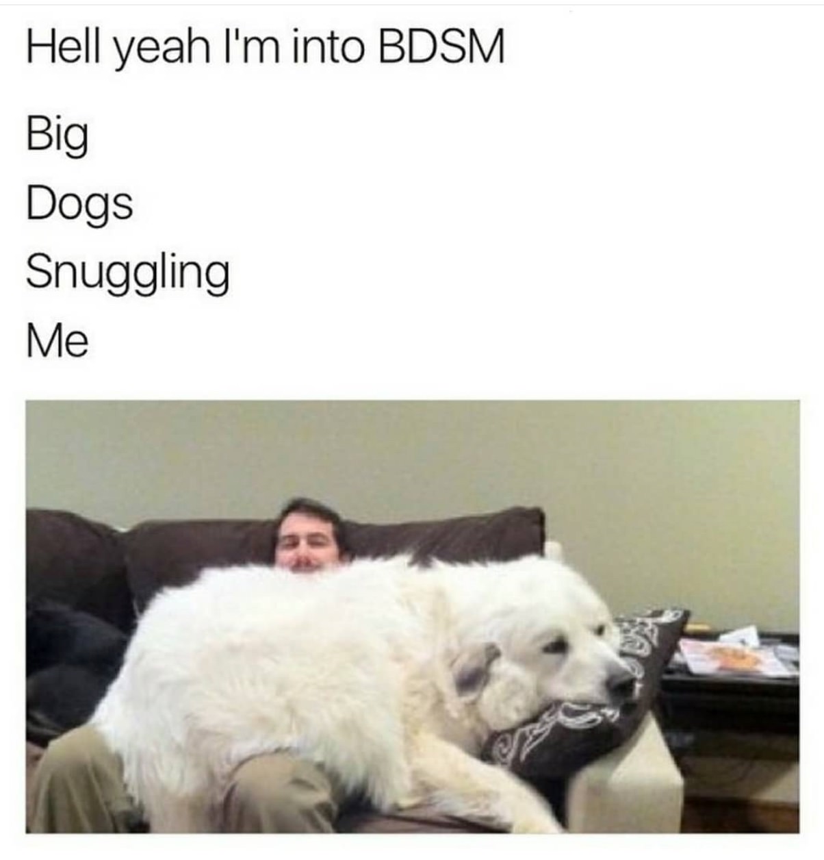 yeah im into bdsm - Hell yeah I'm into Bdsm Big Dogs Snuggling Me