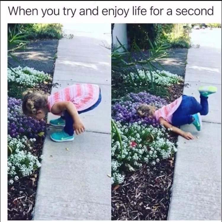 you try and enjoy life - When you try and enjoy life for a second