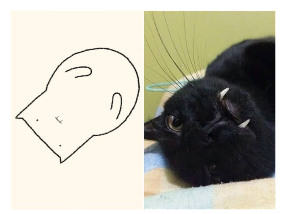 Коты легких делают. Мемы с нарисованными котами. Кот Мем рисунок. Котики мемы рисунки. Плохо нарисованные коты.