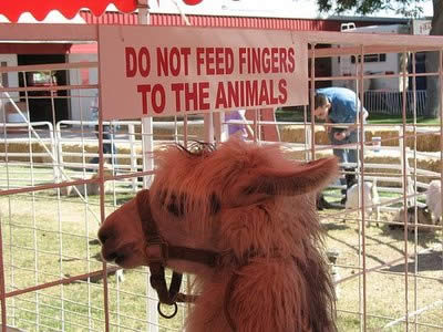 Funny Zoo Signs