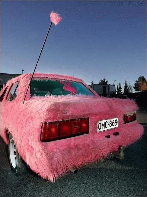 fur covered car