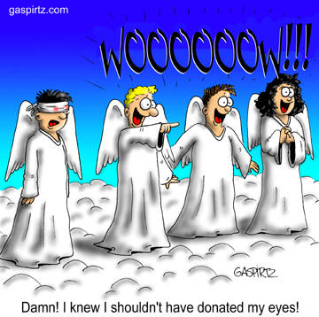 bad angel funny - gaspirtz.com W000000W.!! GASPIR22 Damn! I knew I shouldn't have donated my eyes!