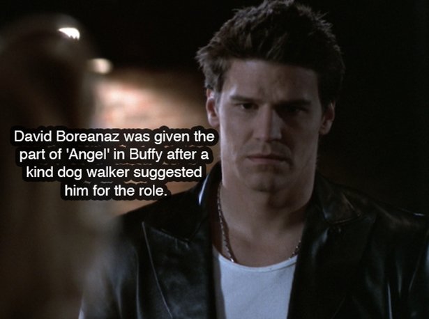 buffy the vampire slayer recast - David Boreanaz was given the part of 'Angel' in Buffy after a kind dog walker suggested him for the role.