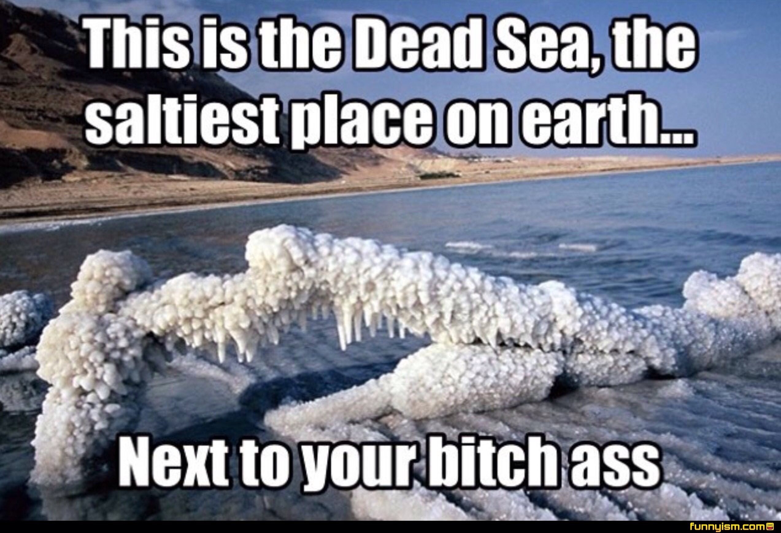 dead sea salty meme - This is the Dead Sea, the saltiest place on earth... Next to your bitch ass funnyism.come