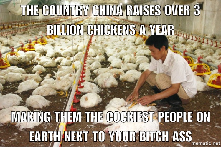 next to your bitch ass - The Country China Raises Over 3 Billion Chickens A Year Making Them The Cockiest People On Earth Next To Your Bitch Ass mematic.net