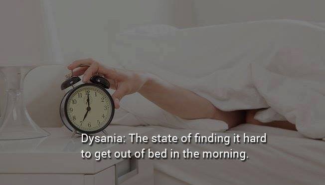sleeping day off - Dysania The state of finding it hard to get out of bed in the morning.