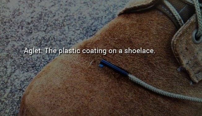 Name - Aglet The plastic coating on a shoelace.