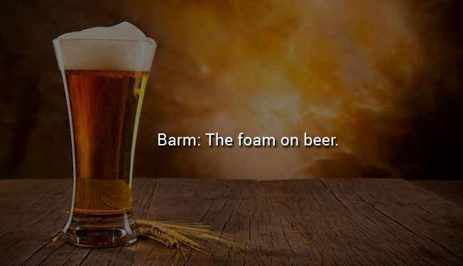 Barm The foam on beer.