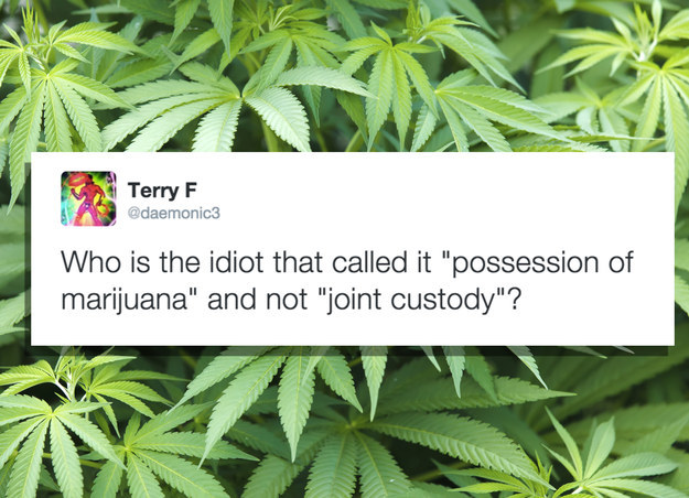 morocco most known - Ps Terry F Who is the idiot that called it "possession of marijuana" and not "joint custody"?