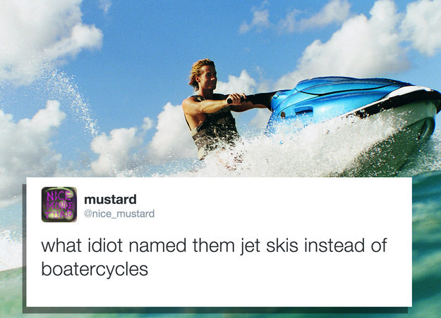 Personal watercraft - Nic mustard what idiot named them jet skis instead of boatercycles