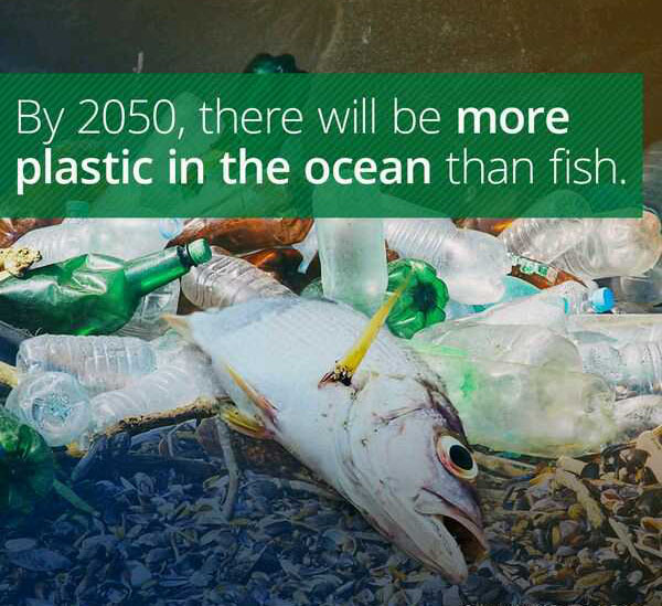wtf facts - plastic in the ocean crisis - By 2050, there will be more plastic in the ocean than fish.