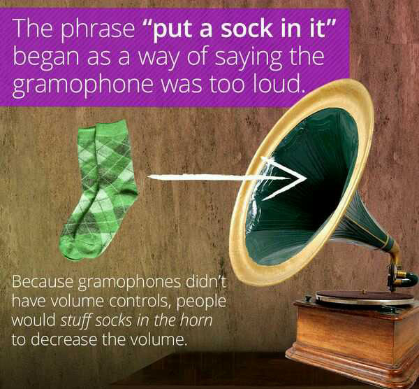 wtf facts - wtf facts - The phrase "put a sock in it" began as a way of saying the gramophone was too loud. Because gramophones didn't have volume controls, people would stuff socks in the horn to decrease the volume.