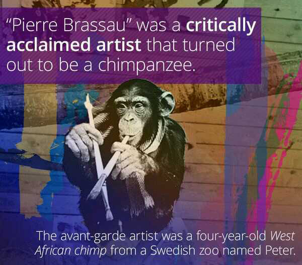 wtf facts - "Pierre Brassau" was a critically acclaimed artist that turned out to be a chimpanzee. The avantgarde artist was a fouryearold West African chimp from a Swedish zoo named Peter.