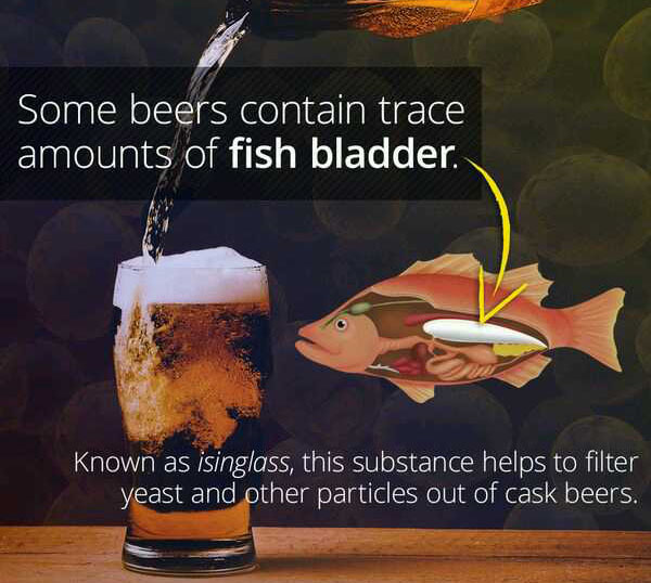 wtf facts - fish bladder in beer - Some beers contain trace amounts of fish bladder. Known as isinglass, this substance helps to filter yeast and other particles out of cask beers.