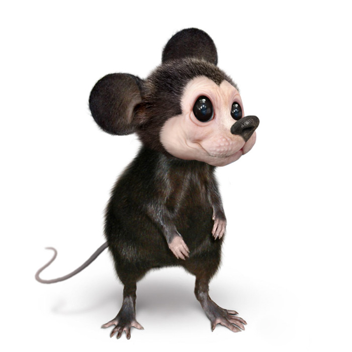mickey mouse as a real mouse