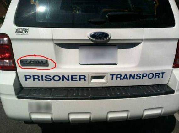 20 Hilarious Examples of Irony in Action