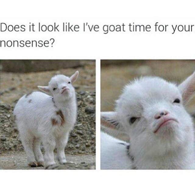 does it look like i ve goat time for your nonsense - Does it look I've goat time for your nonsense?
