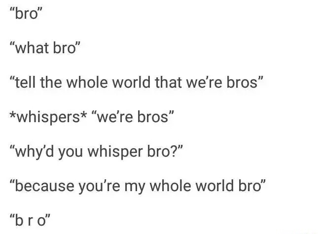 you re my world bro - "bro" "what bro" "tell the whole world that we're bros whispers "we're bros" why'd you whisper bro?" because you're my whole world bro" "bro"