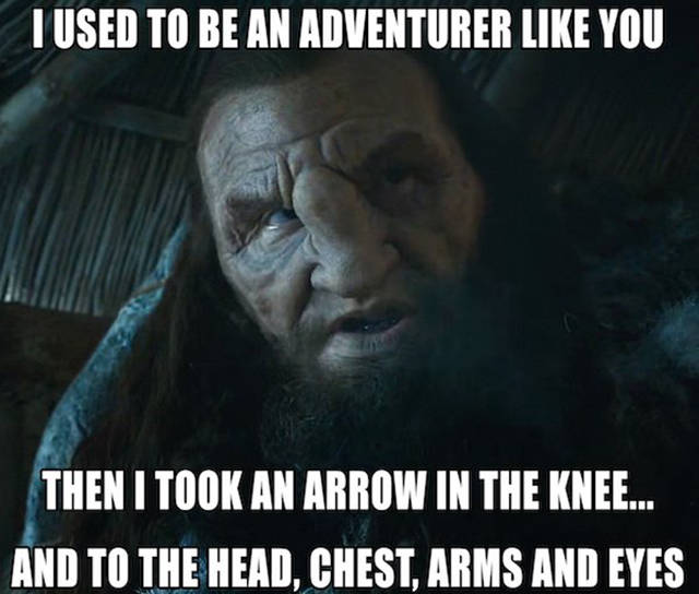 wun wun meme - Tused To Be An Adventurer You Then I Took An Arrow In The Knee... And To The Head, Chest, Arms And Eyes