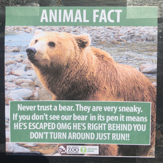 Guy Posts Fake Animal Posters Around The Zoo