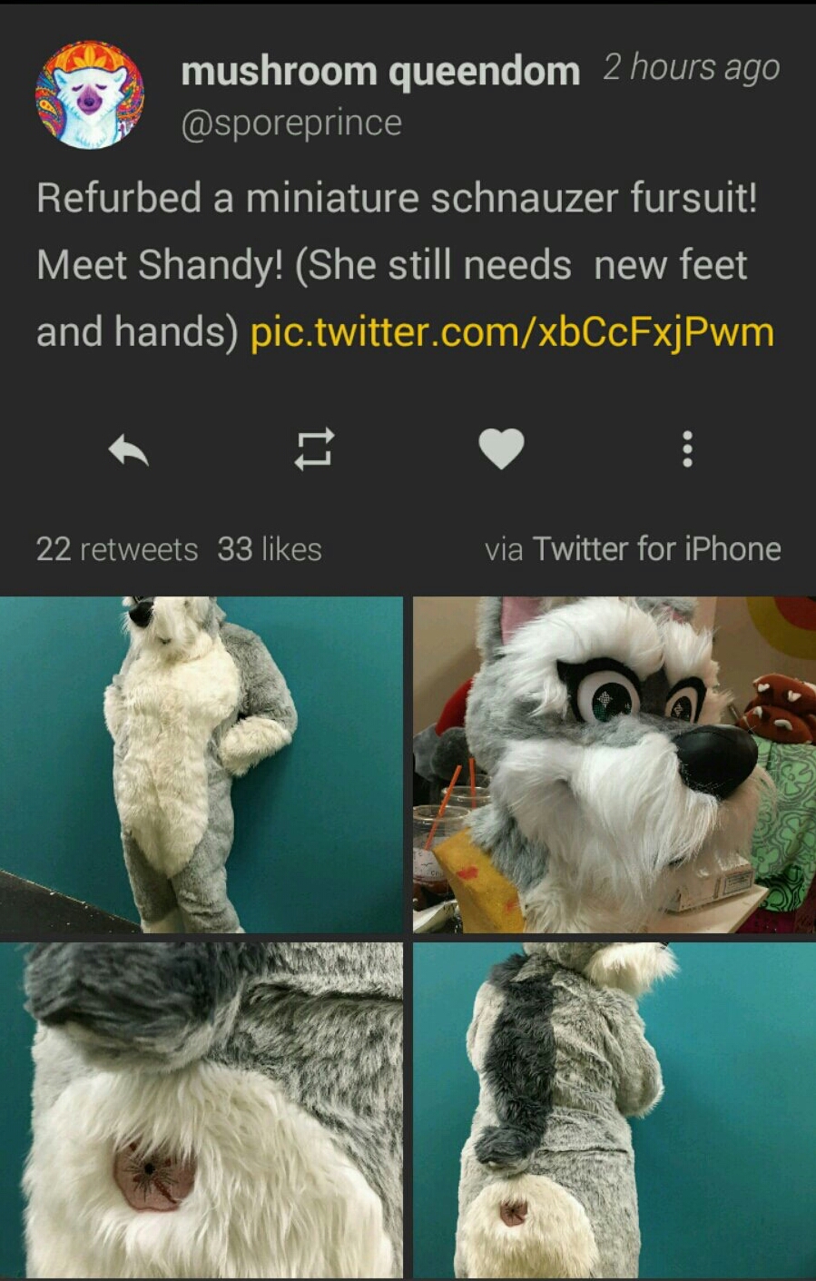feet cringe funny - mushroom queendom 2 hours ago Refurbed a miniature schnauzer fursuit! Meet Shandy! She still needs new feet and hands pic.twitter.comxbCcFxjPwm 22 33 via Twitter for iPhone