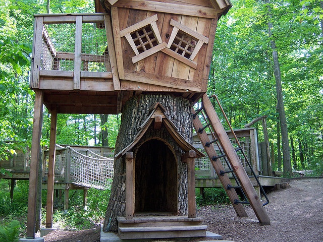 24 Badass Treehouses That'll Make You Feel Like A Kid Again