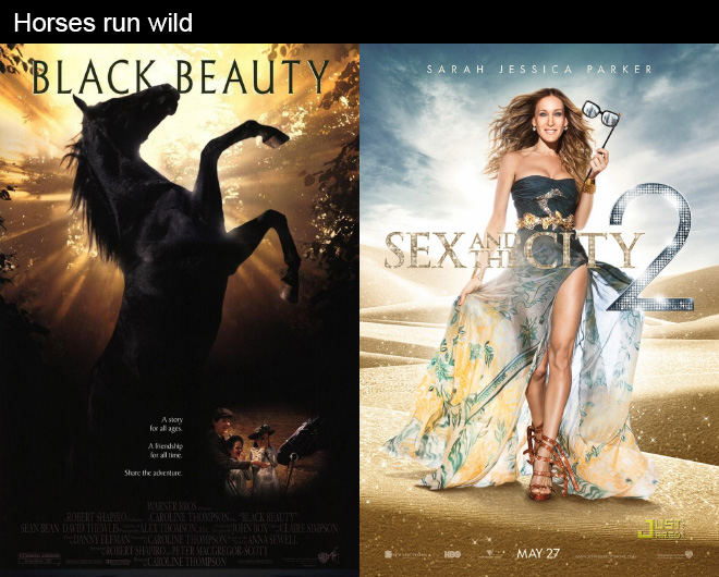 movies with same plot - sarah jessica parker sex and the city affiche - Horses run wild Sarah Jessica Parker "Black Beauty Sexan City A story A henblip for a Store the adventure Si Warners Robert Shapiro Caroline Thompsontlik Beauty Sean Bean David Tihenv