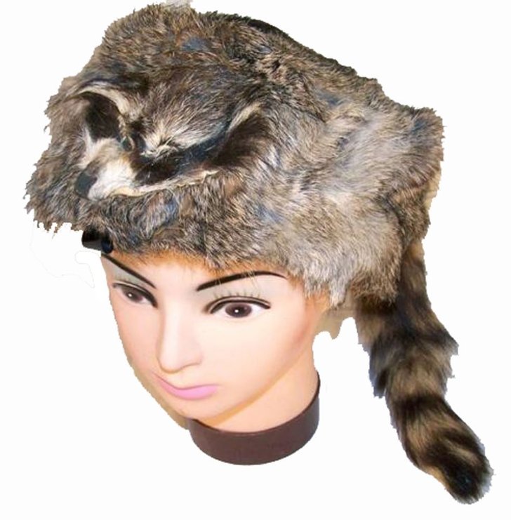  Real Raccoon Head and Tail Fur Hat $13