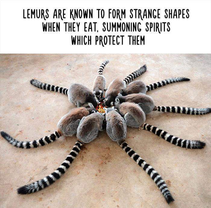 11 Little Known Animal Facts That May Shock You